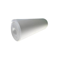 泰特达 膨化聚四氟乙烯板 1500×1500×3mm(白色) 张