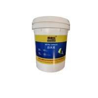 泰特达 白水泥 P.W-1 42.5级20KG(白色) 桶