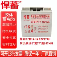 12V17AH阀控式铅酸蓄电池电瓶UPS直流屏EPS应急照明基站6FM17-12