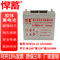12V24AH阀控式铅酸蓄电池电瓶UPS监控通信直流屏EPS安防6FM24-12