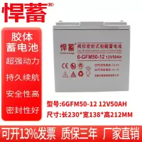 12V50AH太阳能专用蓄电池UPS光伏直流屏EPS应急照明基站6GFM50-12