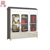 王龍 加厚304不锈钢消防柜 1500*600*1700 个
