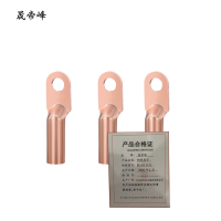 晟帝峰 铜线鼻子 DT-10平方 只