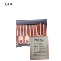 晟帝峰 铜线鼻子 DT-25平方 只