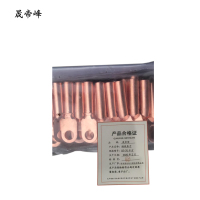 晟帝峰 铜线鼻子 DT-70平方 只