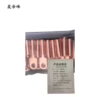 晟帝峰 铜线鼻子 DT-95平方 只