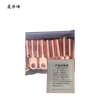 晟帝峰 铜线鼻子 DT-120平方 只