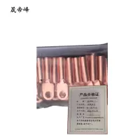 晟帝峰 铜线鼻子 DT-120平方 只