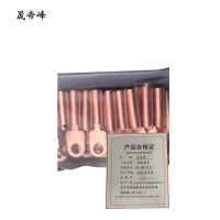 晟帝峰 铜线鼻子 DT-185平方 只