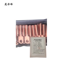 晟帝峰 铜线鼻子 DT-240平方 只