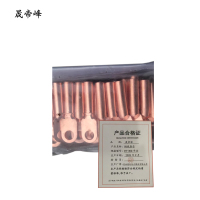 晟帝峰 铜线鼻子 DT-300平方 只