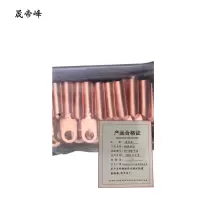 晟帝峰 铜线鼻子 DT-300平方 只