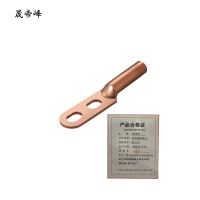 晟帝峰 双孔铜线鼻子 25平方 个