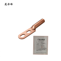 晟帝峰 双孔铜线鼻子 35平方 个