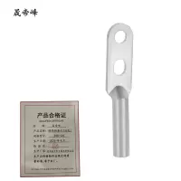 晟帝峰 镀锡铜鼻子(双孔) DTS-120 个