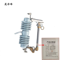 晟帝峰 跌落式熔断器 RW11-12/200A 支