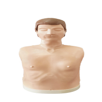 耀典辉诚 急救训练模拟假人(特惠款)810C   个