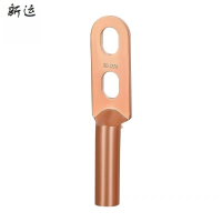 新运 双孔铜鼻子DT-S双眼接线端子 个