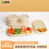 一次性打包盒分格轻食餐盒可降解外卖搭配汤碗餐具