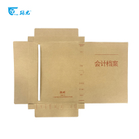 路元 会计档案盒 2分公 310X220mm 个