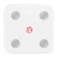 野小兽智能体脂秤双频测脂技术监测脂肪含量BS12