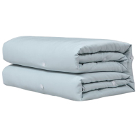 多喜爱蚕丝被芯锦绣园纯蚕丝夏薄被203*229cm(颜色随机)