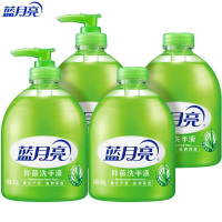 蓝月亮抑菌洗手液500g*2+抑菌洗手液瓶补500g*2 10001483