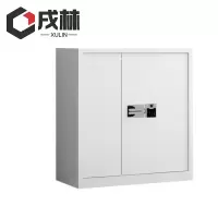 戌林 保密柜国宝密码锁/台