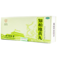 同仁堂 知柏地黄丸(大蜜丸) 9g*10丸 滋阴降火 用于阴虚火旺 潮热盗汗 口干咽痛 耳鸣遗精 小便短赤