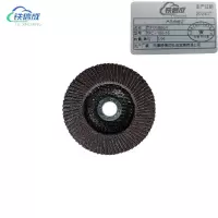 铁信成 百叶片抛光片 TXC - 100-16 片