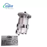 铁信成 齿轮泵 GPC4-40-40-B6F4-R 个