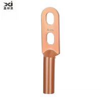 鑫祥景 双孔铜接线端子DTS-(35-185) 个