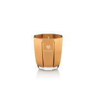 DR.VRANJES馥意世乌木贵族香薰蜡烛金色80g