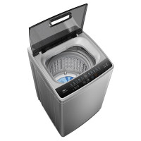TCL 波轮洗衣机 8kg TB-V80S