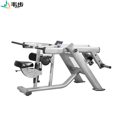 韦步FWM06坐式下压肱三头肌训练架挂片式卓越免维护系列力量器械