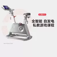 易跑动感单车幻影F3家用智能调阻磁控健身车骑行脚踏车