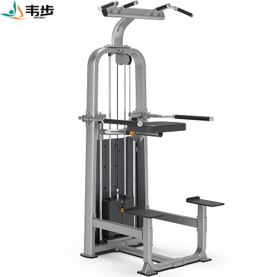 韦步F-1019单双杠及提腿腹肌复合训练器综合训练器械商用健身器材套装