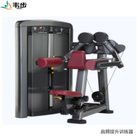 韦步LS508商用坐式肩膊提升侧平举肩外展三角肌训练局部型力量器械