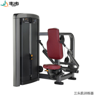 韦步LS510商用坐式肱三头肌手臂下压练习肌肉专项训练局部型力量器械