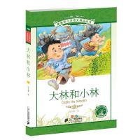 [M]大林和小林-9787539194356