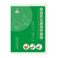 [M]家禽实体解剖学图谱-9787109190962