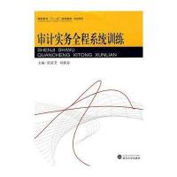 [M]审计实务全程系统训练-9787307064256