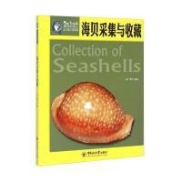 [M]海贝采集与收藏-9787567008434