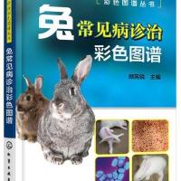 [M]兔常见病诊治彩色图谱-9787122287632