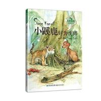 [M]小鼷鹿好为虎师-9787533551650