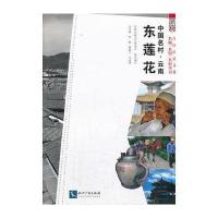 [M]中国名村-9787513019613