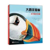 [M]大西洋海雀-9787502797959