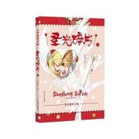 [M]圣光碎片-9787541146015