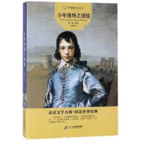 [M]少年维特之烦恼-9787556832866