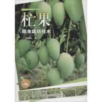 [M]杧果精准栽培技术-9787511633187